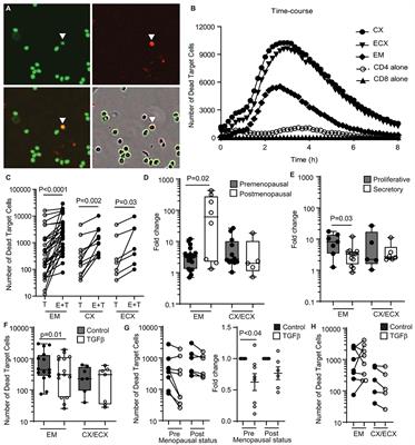 Differential Cytotoxic Function of Resident and Non-resident CD8+ T Cells in the Human Female Reproductive Tract Before and After Menopause